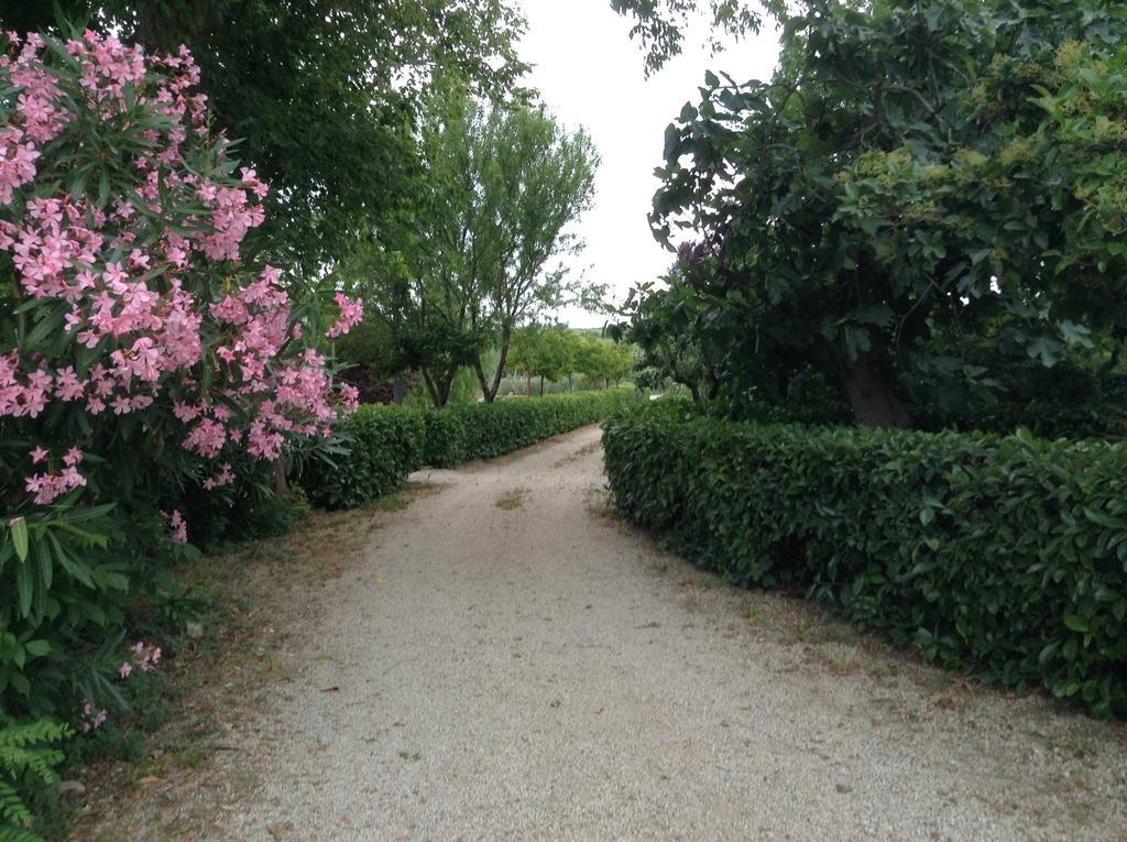 Alloggio per agriturismo Santo Stefano *